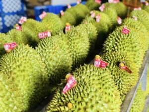 Durian TPLUX EXPORT IMPORT COMPANY VIETNAM TPLUX.VN