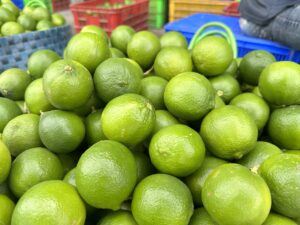 SEEDLESS LIME TPLUX EXPORT IMPORT COMPANY VIETNAM TPLUX.VN