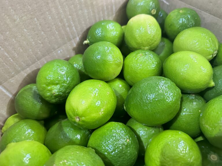 SEEDLESS LIME TPLUX EXPORT IMPORT COMPANY VIETNAM TPLUX.VN