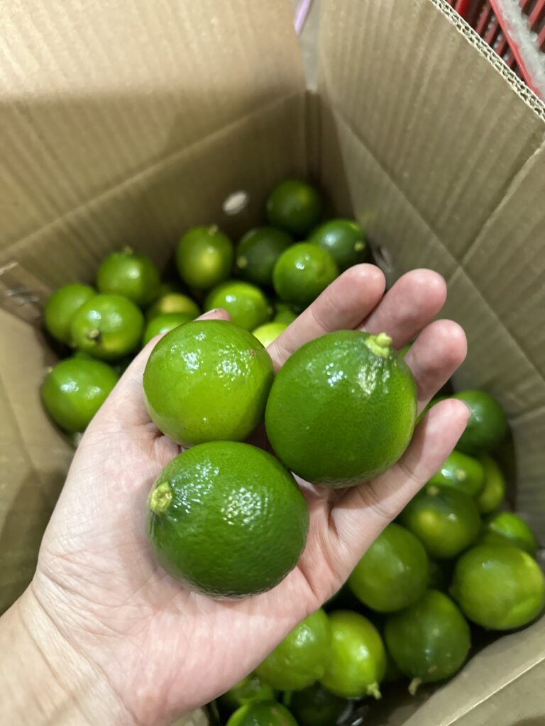 SEEDLESS LIME TPLUX EXPORT IMPORT COMPANY VIETNAM TPLUX.VN