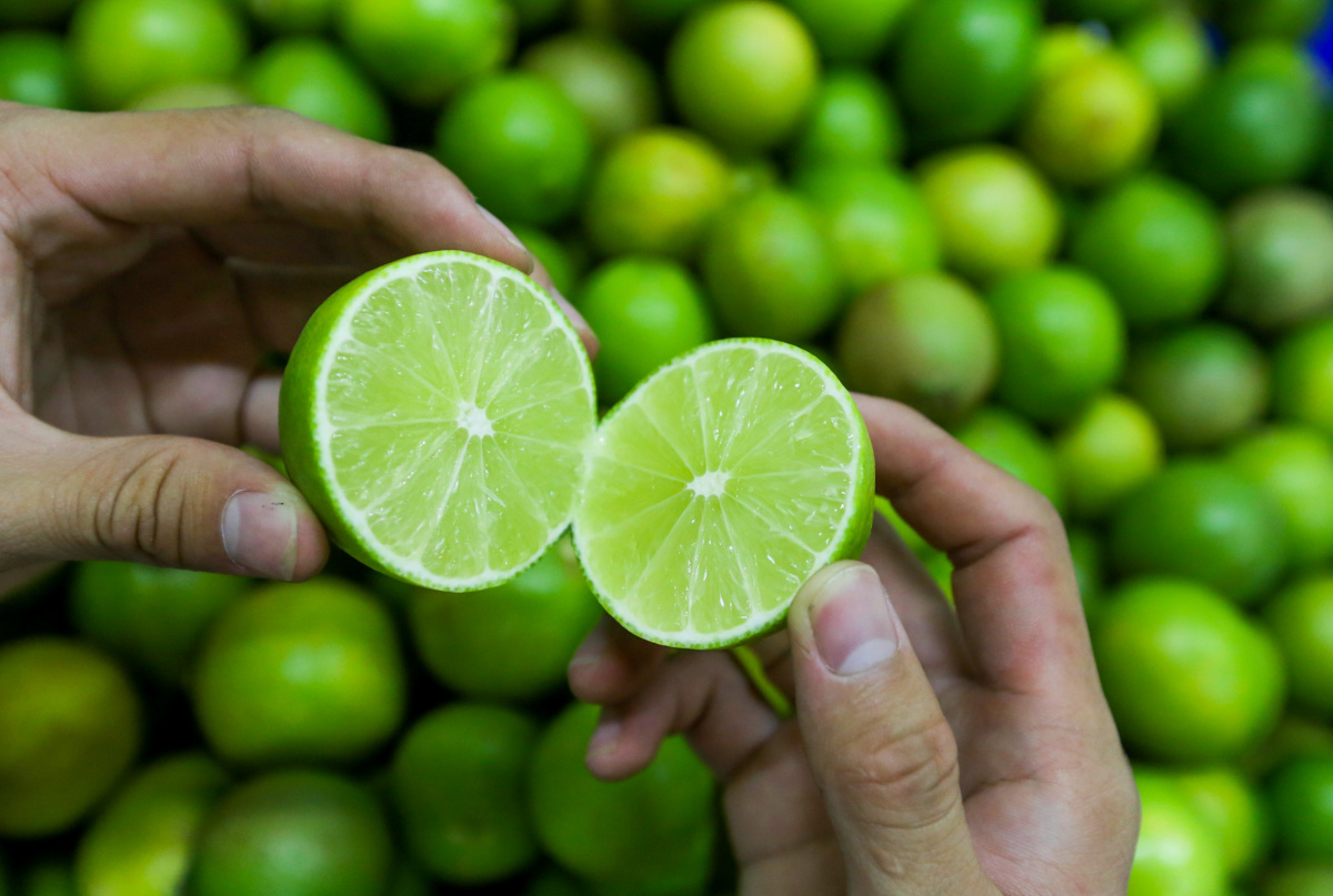 SEEDLESS LIME TPLUX EXPORT IMPORT COMPANY VIETNAM TPLUX.VN