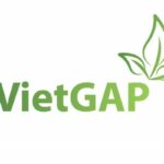 tieu-chuan-vietgap