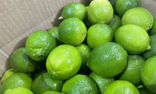 SEEDLESS LIME TPLUX EXPORT IMPORT COMPANY VIETNAM TPLUX.VN